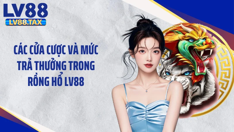 Các cửa cược và mức trả thưởng trong rồng hổ LV88